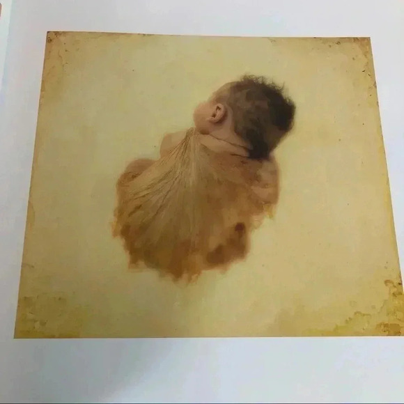 Coffee Table Book ANNE GEDDES Beginnings Nature Transformation Babies Pregnancy - Picture 2 of 7